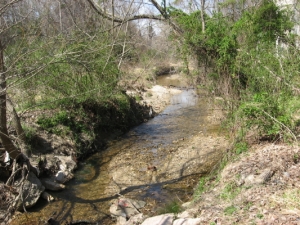 upper stretch of Marsh Creek