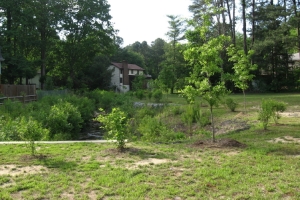 site of former house at Big Branch