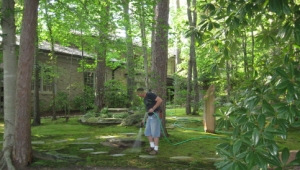 David Spain tends the Urquhart moss garden